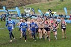 Junior womens start.